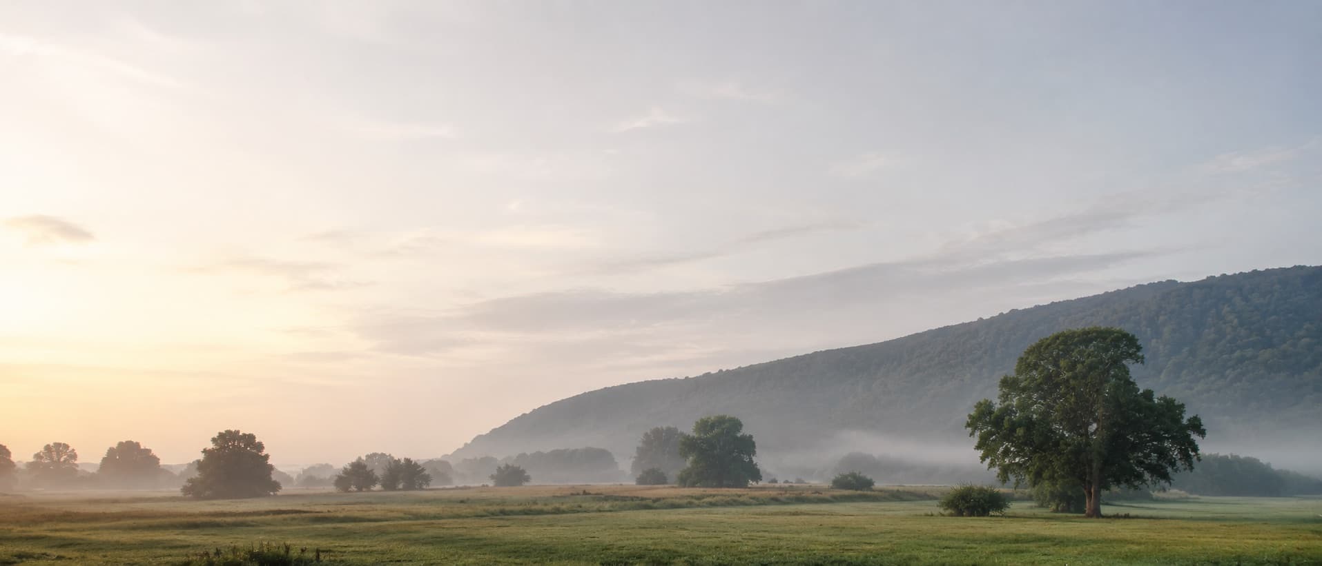 Weite Wiese mit Hügeln im Morgennebel